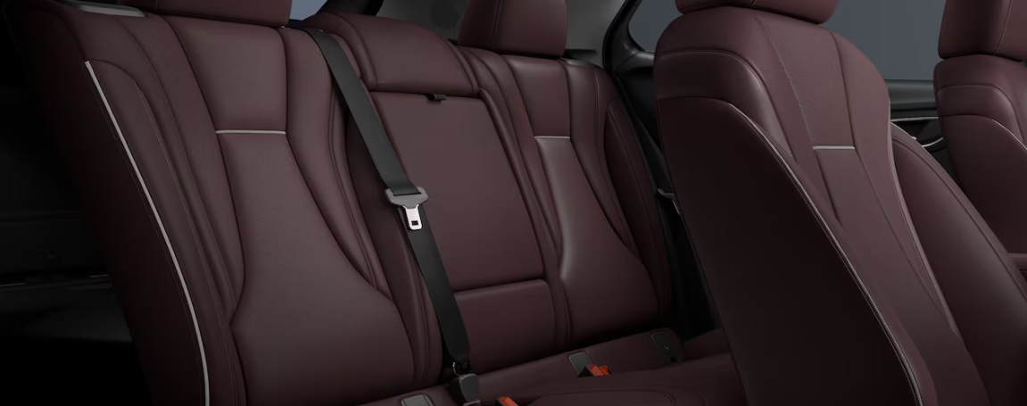 Spacious Interiors and Comfortable Cabin Layout