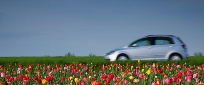 Happy Honda - Prepare Your Car For Spring